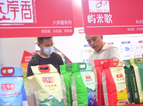 科技赋能产业升级，粮油盛会助推行业高质量发展——第十九届中国国际粮油产品及设备技术展示交易会在济南开幕