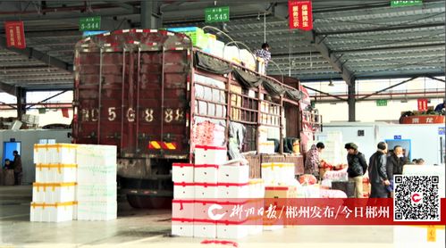 郴州农副产品物流园迎来交易旺季 每日交易量突破800吨