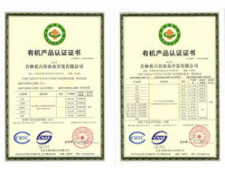 吉林黑土地上的黄金豆 一份来自东北的健康承诺
