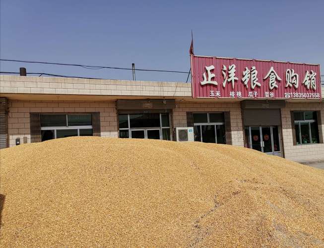 粮食购销有正洋 深耕粮油购销，守护大国粮仓
