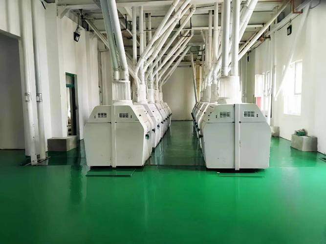 洛浦县爱丽雅粮油工贸有限责任公司 深耕粮油购销，助力区域粮食安全与产业升级